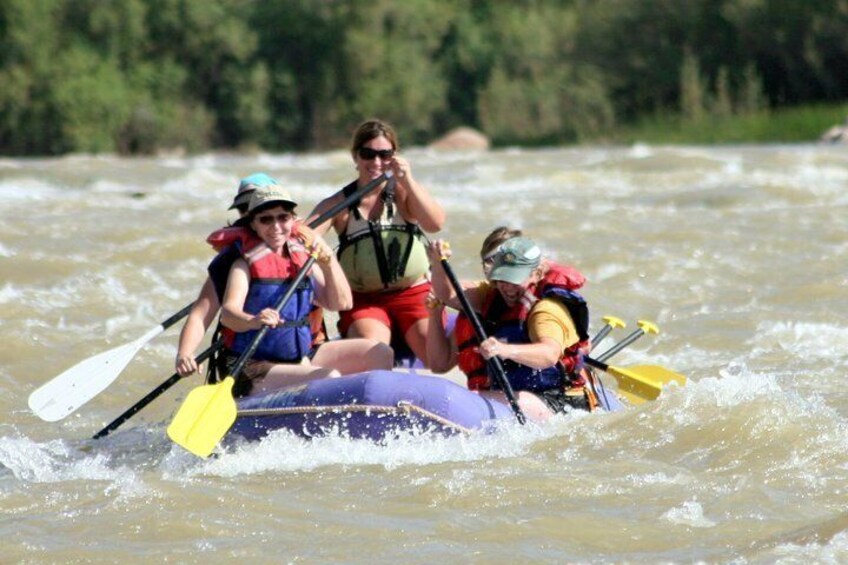 Half Day rafting trip!