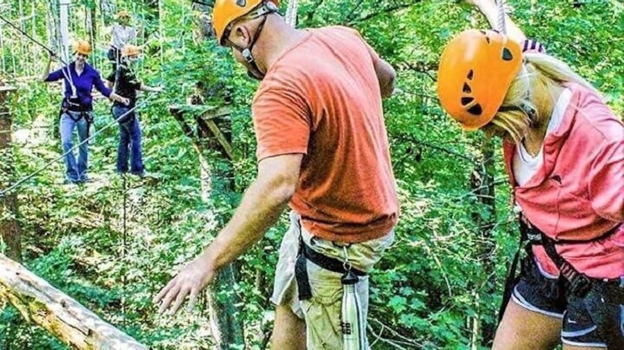 Fontanel Zipline Forest Adventure at Nashville North