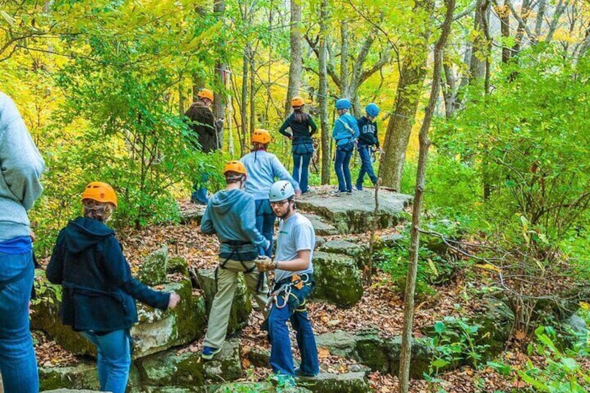 Zipline Forest Admission at Fontanel in Nashville