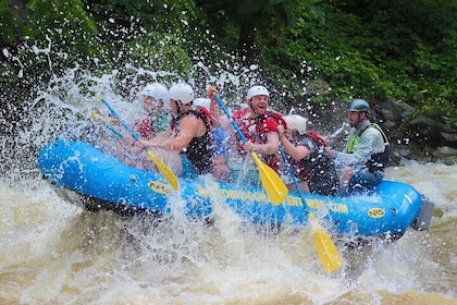 The Best Whitewater Rafting 