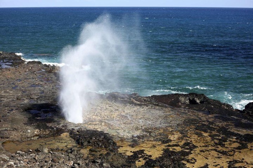 Hidden Gems of Oahu with North Shore Turtle Snorkeling