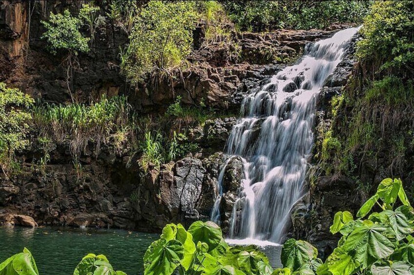 Circle Island Tour with Waimea Waterfall