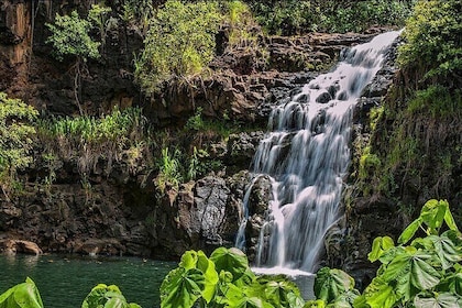 Verborgen juweeltjes van Oahu - Circle Island Tour met Waimea-waterval