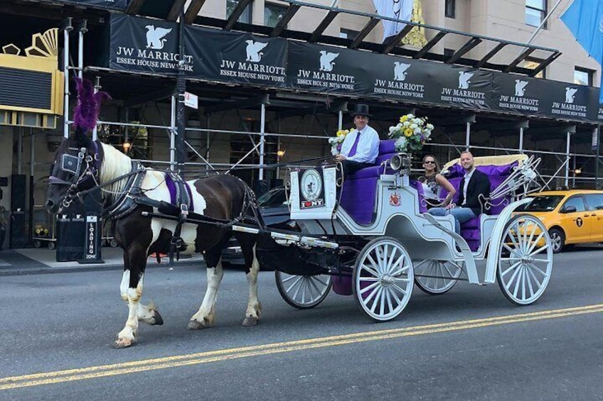 Central Park Horse Carriage Ride - VIP Tour with photo stops (55 min)