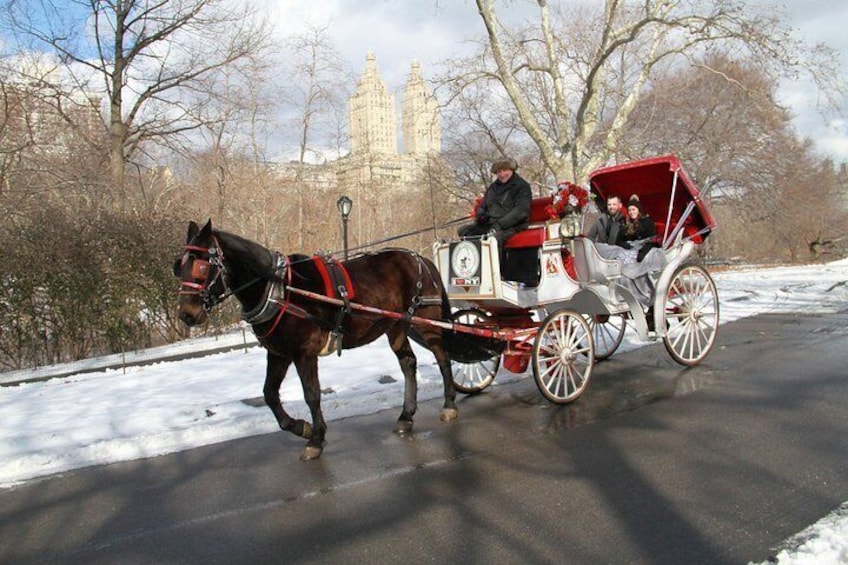 Central Park Horse Carriage Ride - VIP Tour with photo stops (55 min)