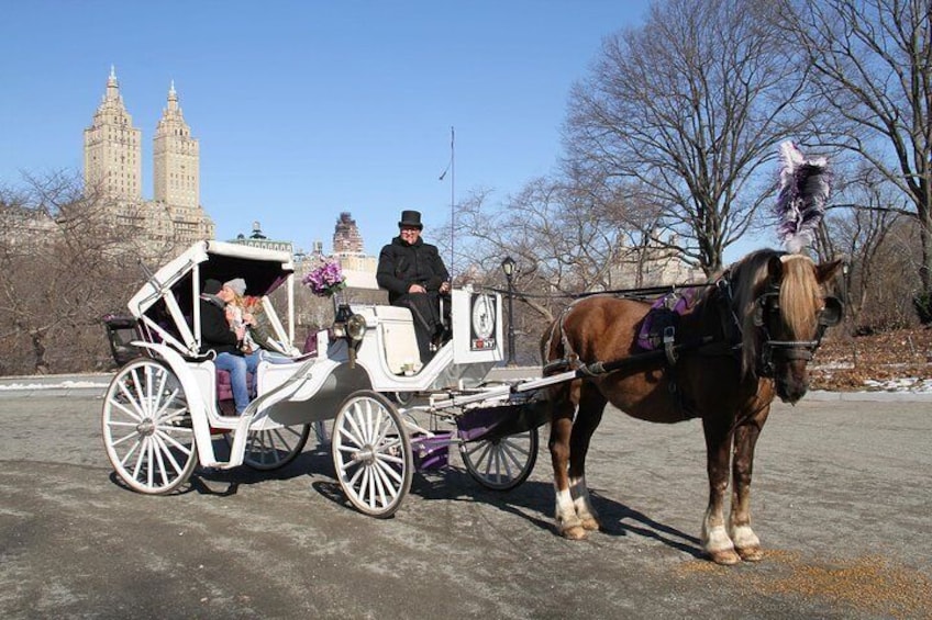 Central Park Horse Carriage Ride - VIP Tour with photo stops (55 min)