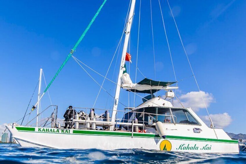 OAHU CATAMARANS Sunset Tour on a Forty Foot Catamaran BYOB
