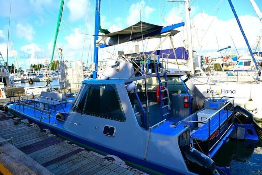 Oahu Sunset Tour on a 40 Foot Catamaran: Food and BYOB