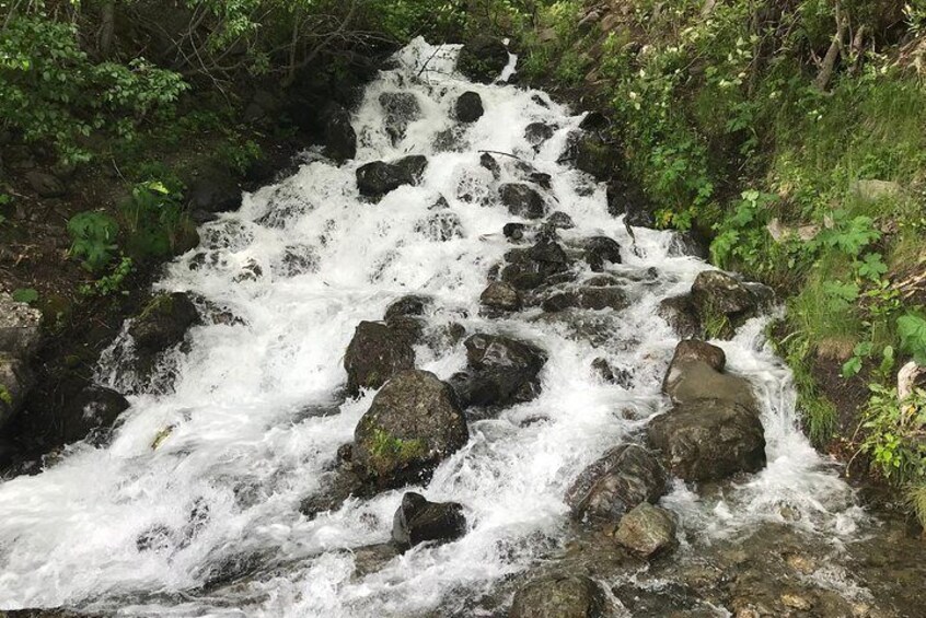 Turnagain Arm Tour: "A Must See Destination"