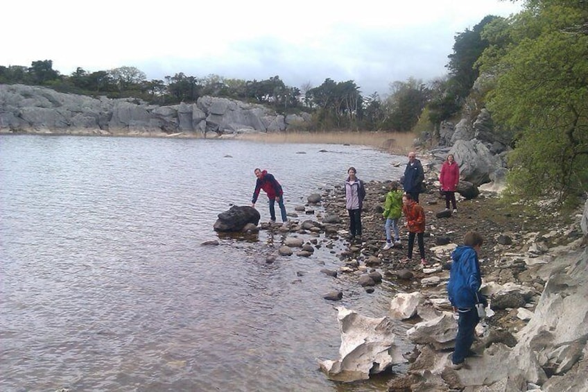 Muckross Lake Walk Killarney