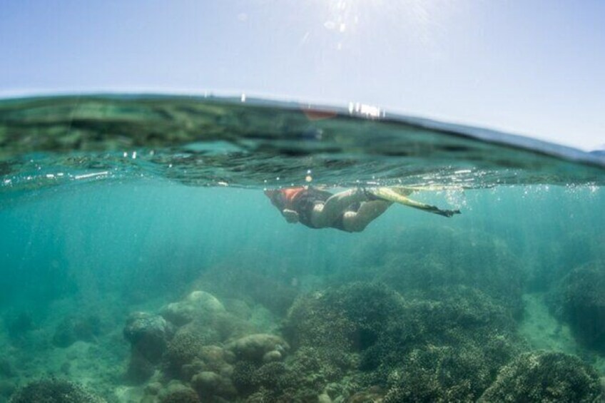 Great Sandy Marine Park, Turtle Discovery & Cultural Ecotour
