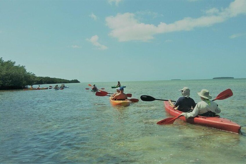 HalfDay Cruise from Key West with Kayaking and Snorkeling