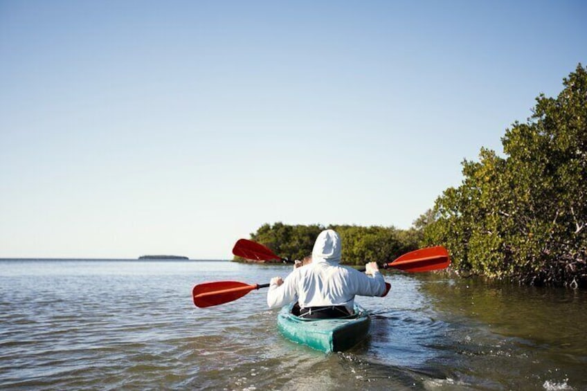 Key West Full-Day Ocean Adventure: Kayak, Snorkel, Sail