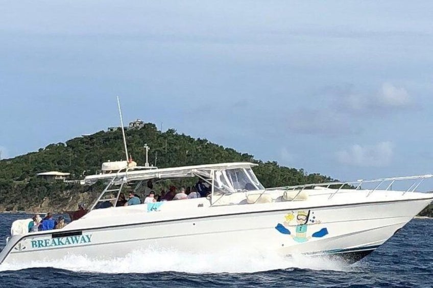 Snorkel several reefs in St. John such as Maho Bay or Waterlemon Cay