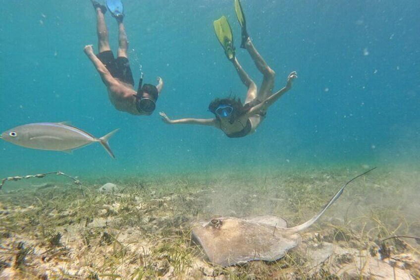 Snorkel St. John Tour from Sapphire and Margaritaville