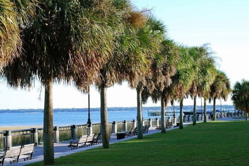 Explore the Holy City of Charleston