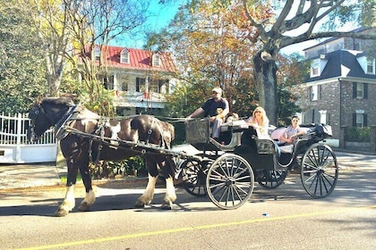 Privat historisk häst- och vagntur i Charleston