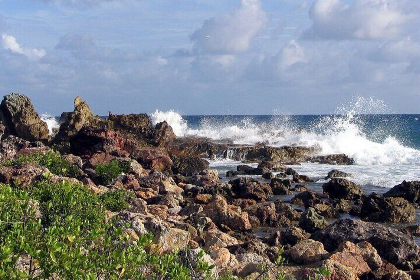 Cas Cay - Kayak Hike and Snorkel Adventure