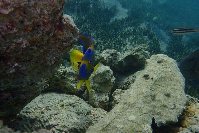 Cas Cay - Kayak Hike and Snorkel Adventure