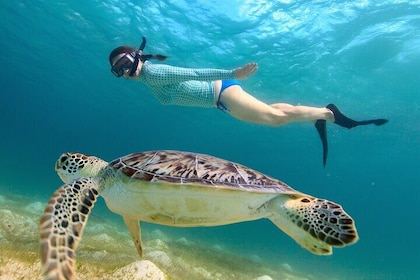 Cas Cay - Kajaktocht en snorkelavontuur