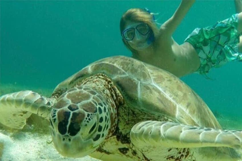 Swim with Sea Turtles at Maho Beach