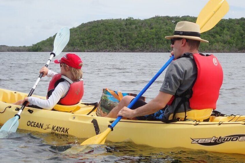 St Thomas Mangrove Lagoon Kayak and Snorkel Tour