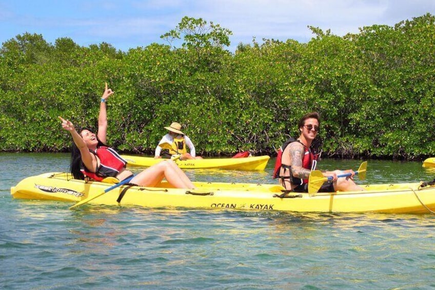 St Thomas Mangrove Lagoon Kayak and Snorkel Tour in the US Virgin Islands