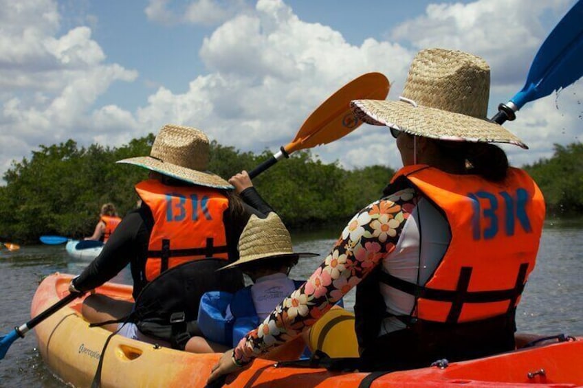 Dolphin & Manatee Kayaking Tour in Orlando Area