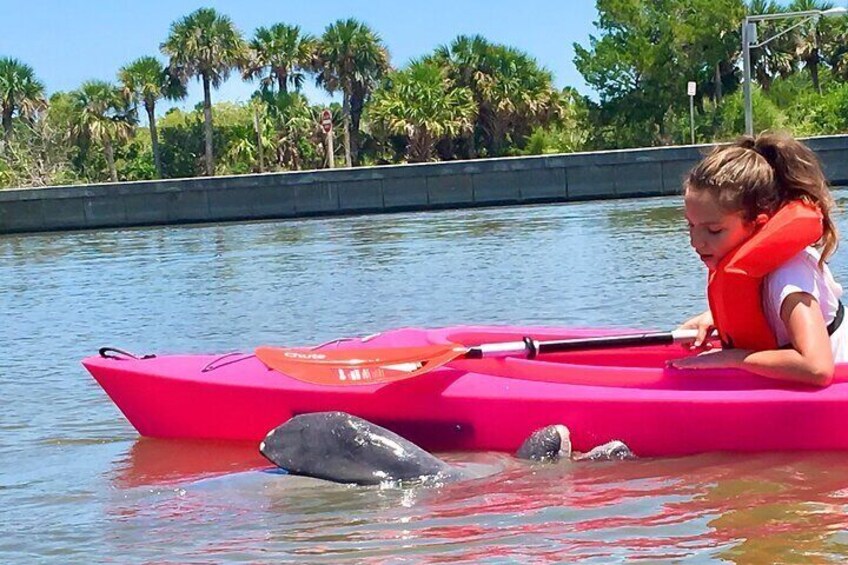 Dolphin & Manatee Kayaking Tour in Orlando Area