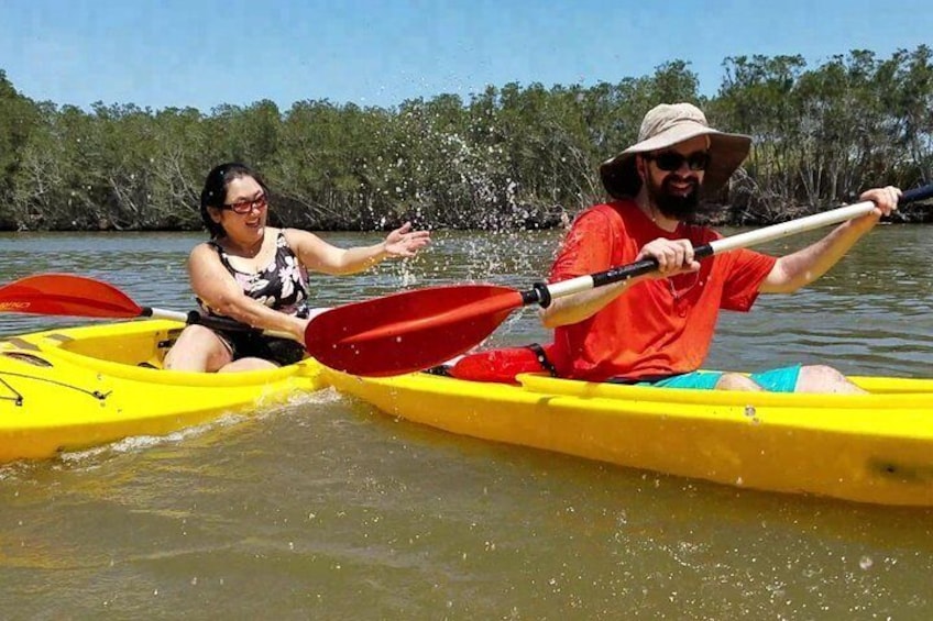 Dolphin & Manatee Kayaking Tour in Orlando Area