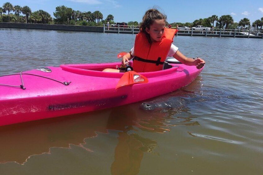 Dolphin & Manatee Kayaking Tour in Orlando Area