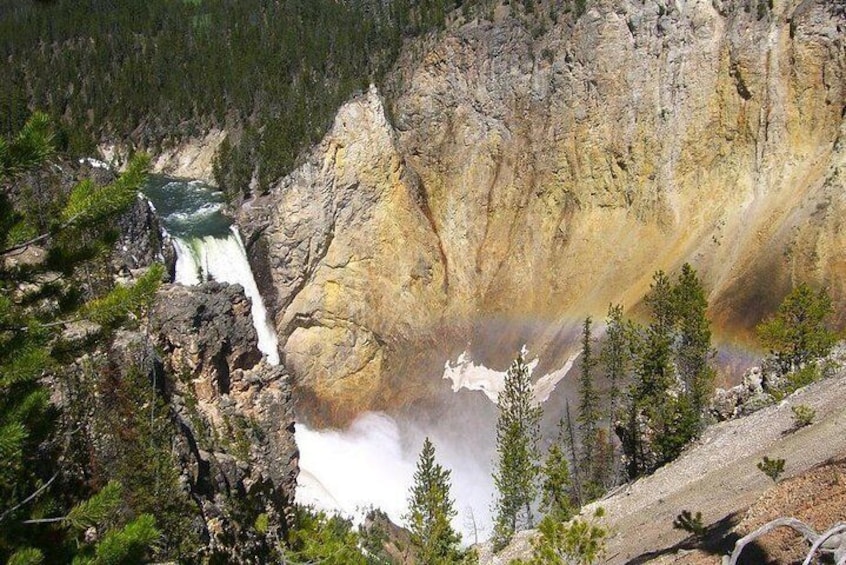 Yellowstone