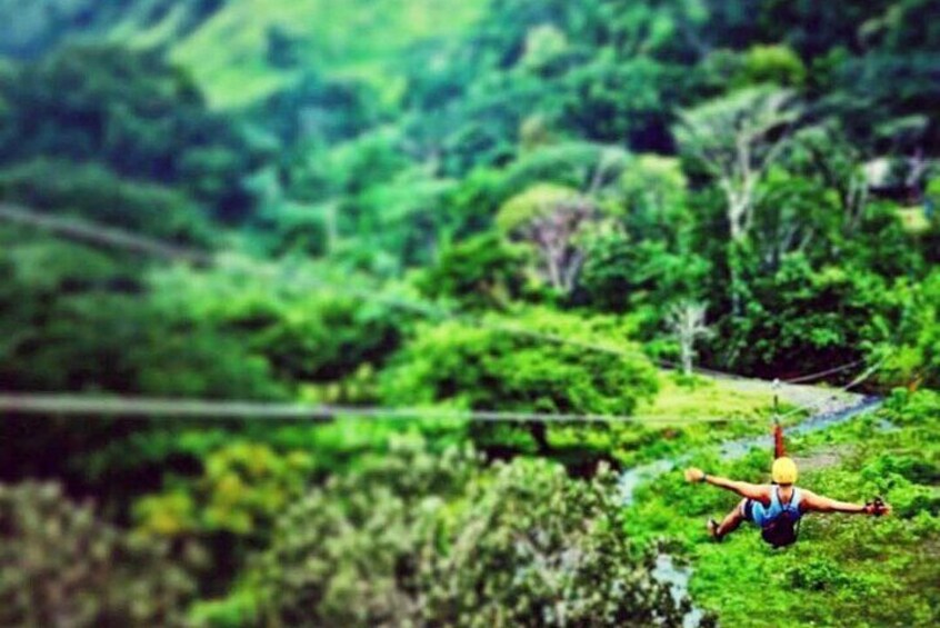 Best Waterfall Rappelling+ Zipline+Tractor Jungle Tour and Rainforest Horseback