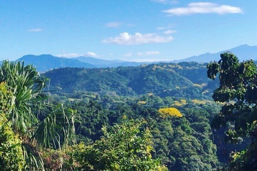 Best Waterfall Rappelling+ Zipline+Tractor Jungle Tour and Rainforest Horseback