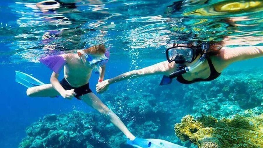 SkyReef Snorkel