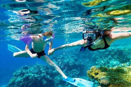 SkyReef Cozumel Snorkel和龙舌兰酒品尝