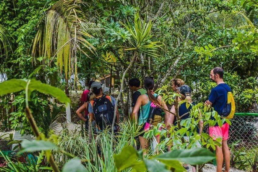 Learning about the cenotes