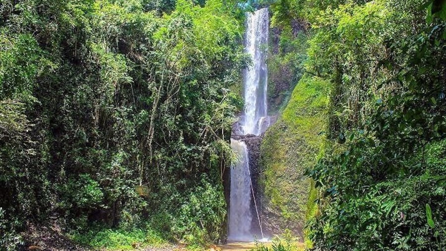 Cassorova Eco Park