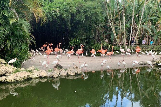 flamingo garden fort lauderdale