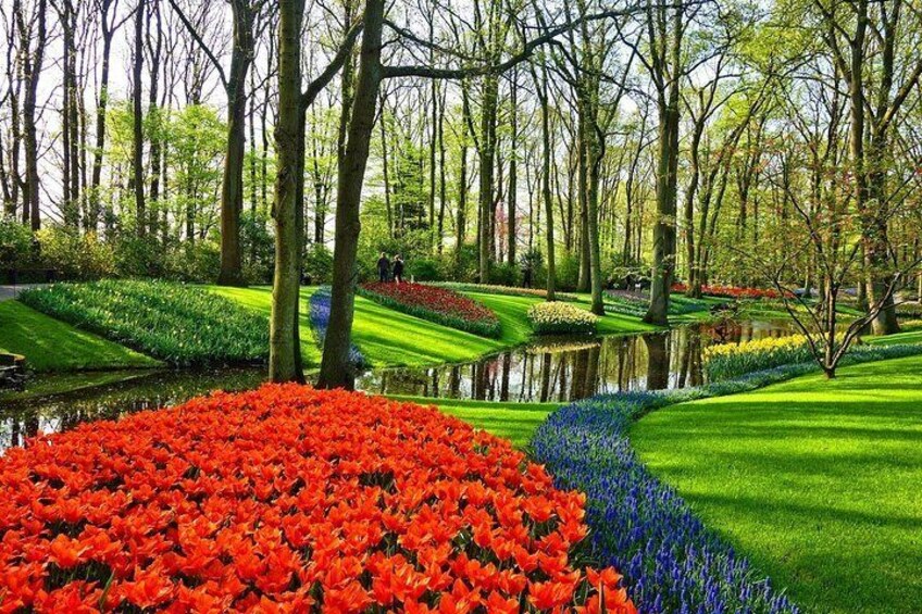 Private tour to Keukenhof tulip fields, Giethoorn and Windmills from Amsterdam