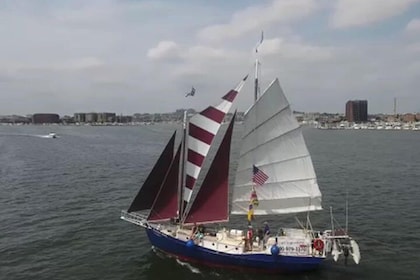 Baltimore Inner Harbor Sail on Summer Wind