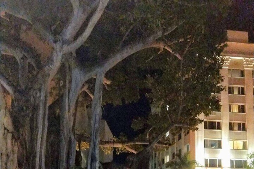 Haunted History of Fort Myers Walking Tour