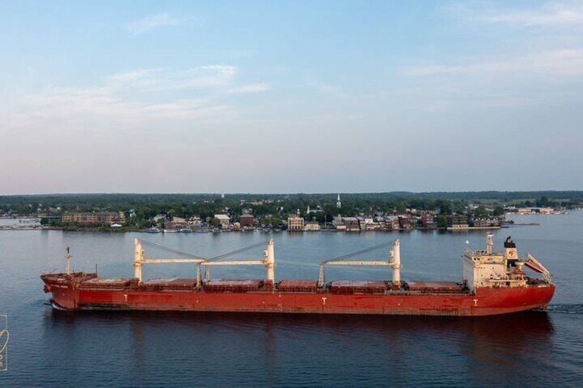 Boldt Castle and 2 Nation Tour