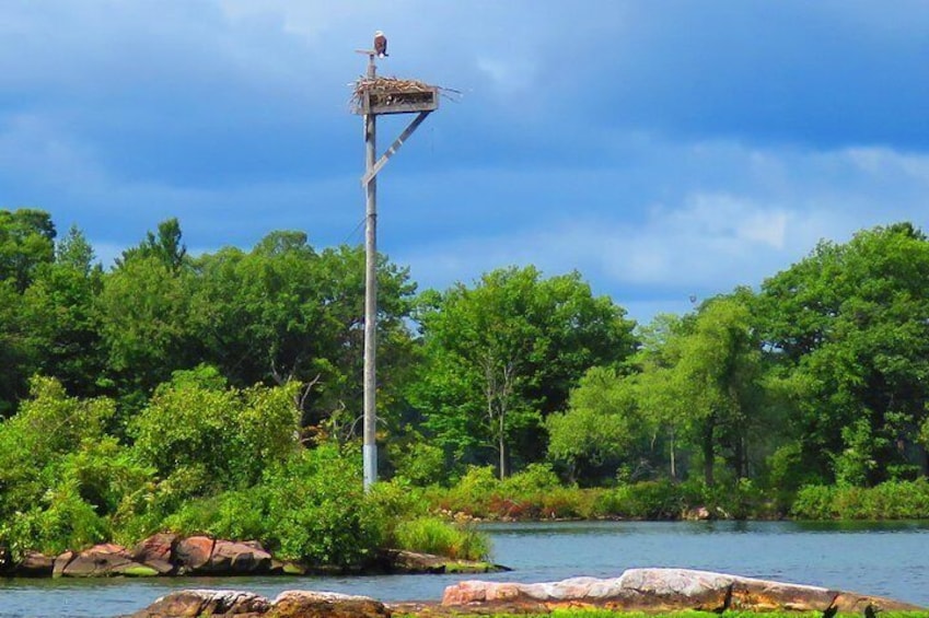 Boldt Castle and 1000 Islands Tour