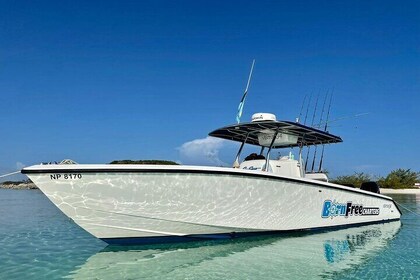 Private Speedboat Adventure for Snorkelling or Fishing in Nassau - 34ft boa...