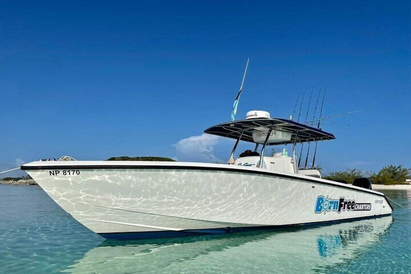 Private Speed Boat for Snorkeling or Fishing in Nassau - 34ft