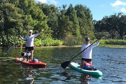 4-Hour (SUP) Paddleboard & Kayak Rental in Orlando