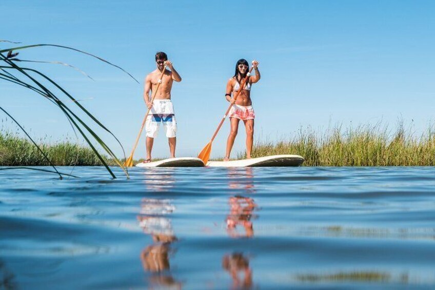 4-hour Paddleboard or Kayak Rental in Orlando