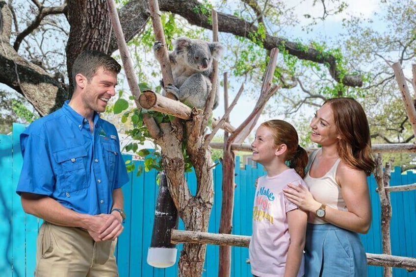 ZooTampa at Lowry Park Admission Ticket