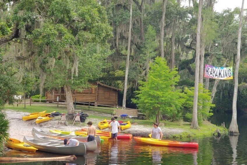 2-Hour Guided Cypress Forest Nature Kayak Tour
